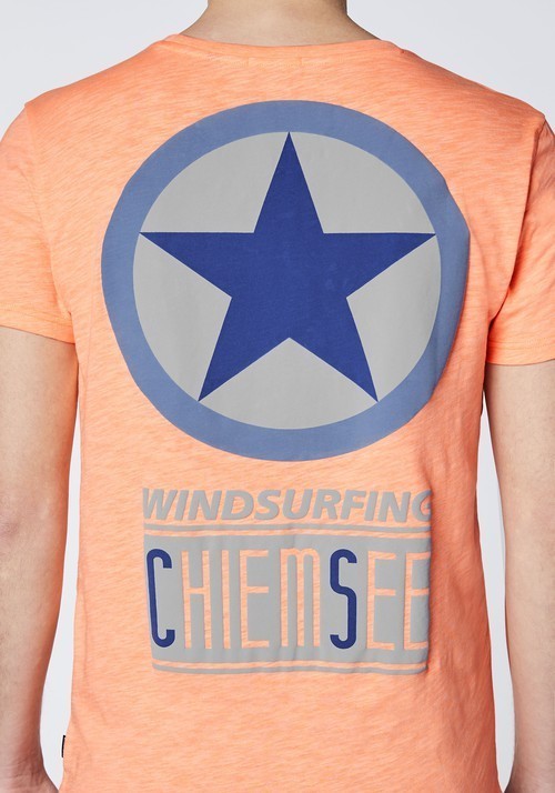 Chiemsee Zayn Tee Großer Rückenprint