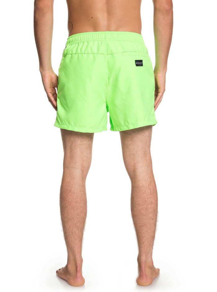 Quiksilver EVERYDAYVL15 Boardshort Badehose - Green Gecko