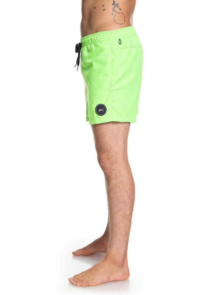 Quiksilver EVERYDAYVL15 Boardshort Badehose - Green Gecko