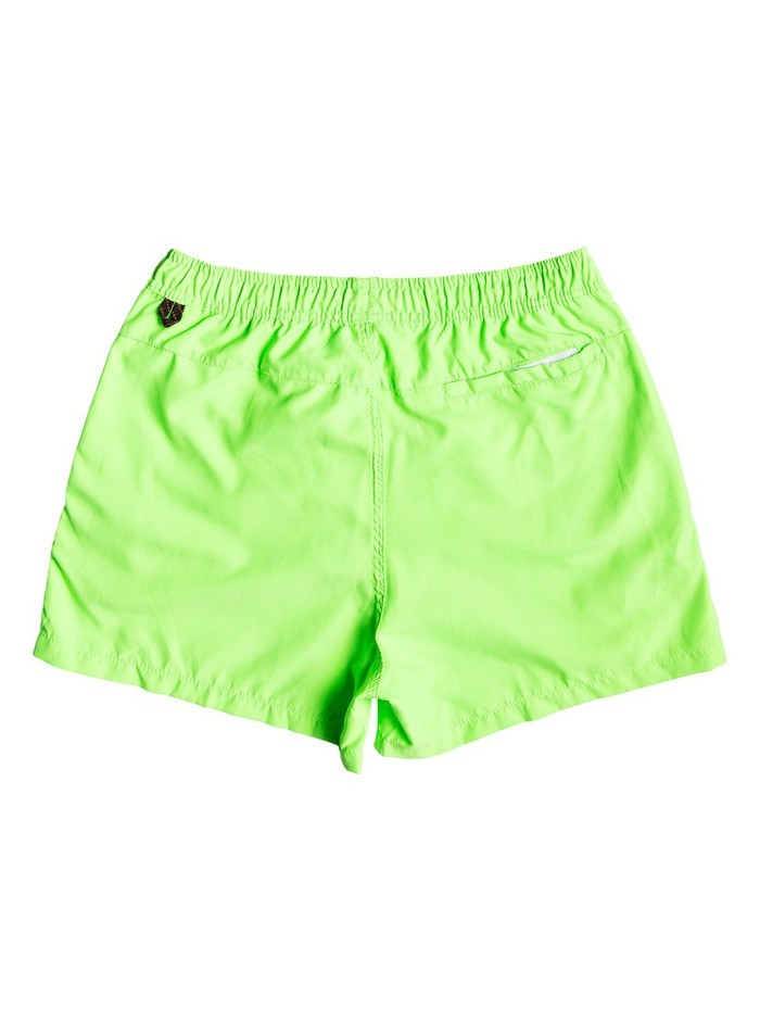 Quiksilver EVERYDAYVL15 Boardshort Badehose - Green Gecko