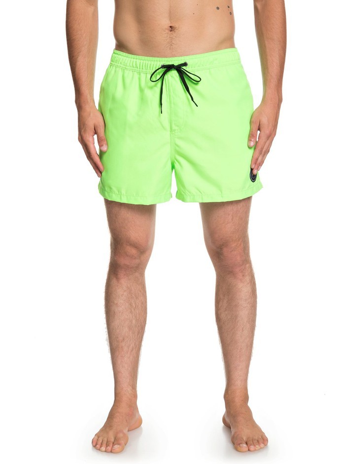 Quiksilver EVERYDAYVL15 Boardshort Badehose - Green Gecko
