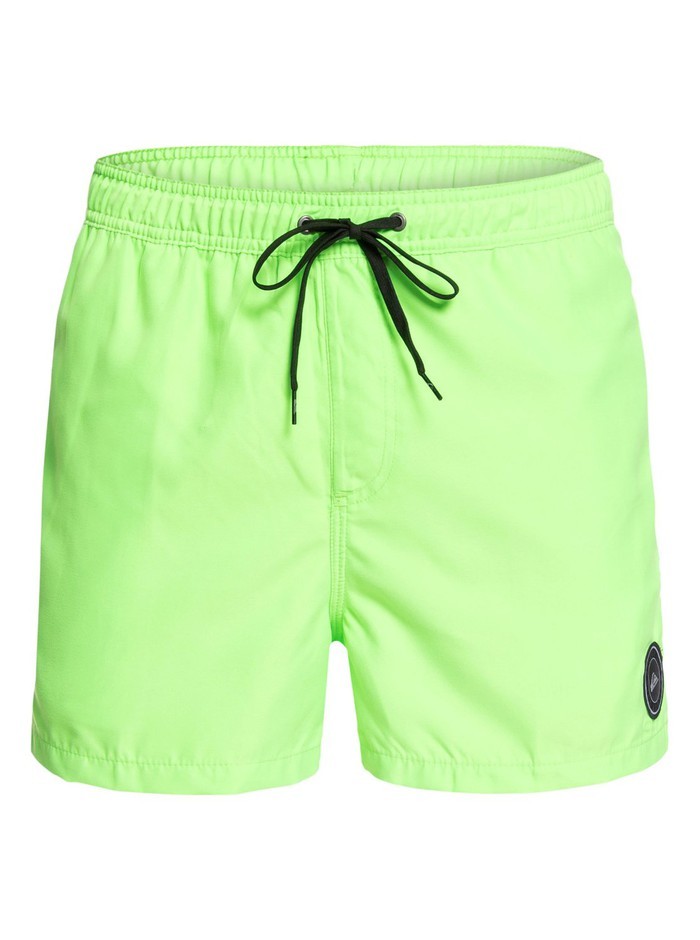 Quiksilver EVERYDAYVL15 Boardshort Badehose - Green Gecko
