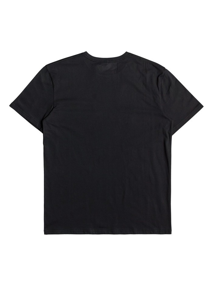 Quiksilver ARTTICKLESS T-Shirt - black