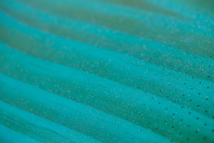 Starboard Windsurf Board KODE Wood Sandwich 2024