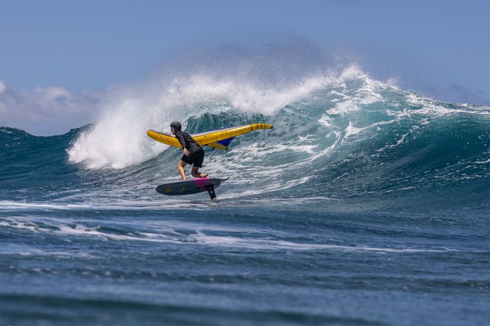 Duotone Foil Wing Unit D/LAB - Wings 2025