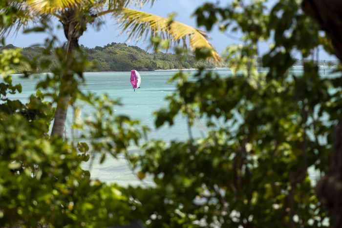 Duotone Unit SLS - Wings 2025