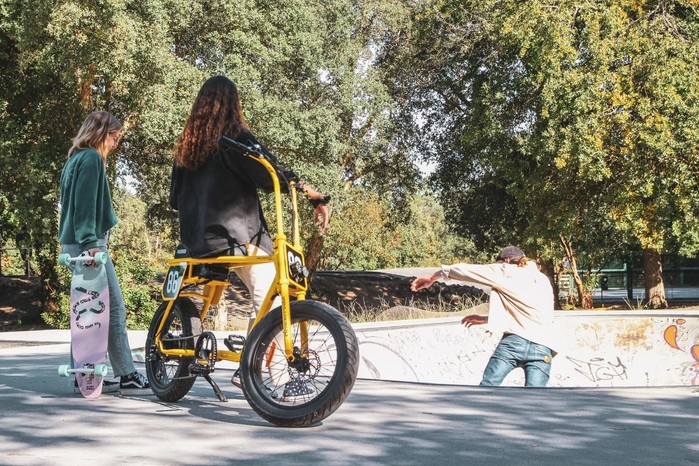 Flying Wheels Carving Skateboard 32 Snakull