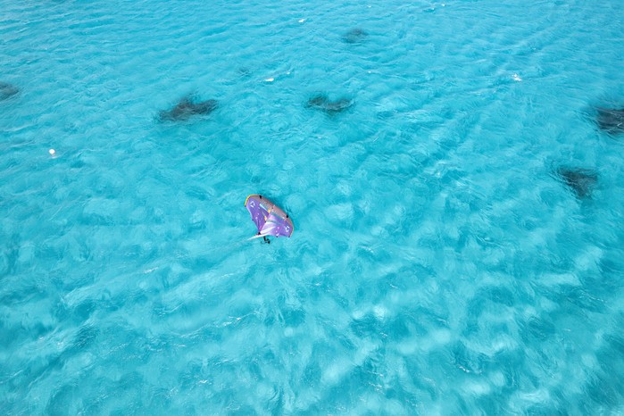 Duotone Foil Wing Ventis FS D/LAB 2026