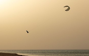 Duotone - Evo D/LAB - Kites 2026
