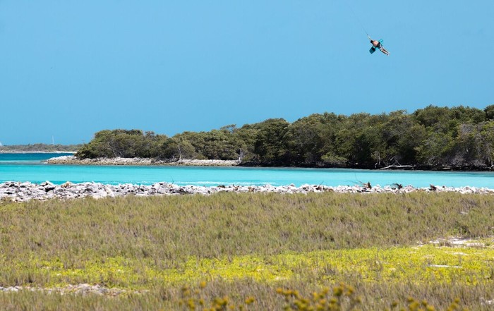 Duotone Click Bar Quad Control - Bars 2026