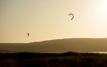 Duotone - Dice SLS - Kites 2026