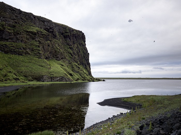 ION Waist Kite Spectre - Harness