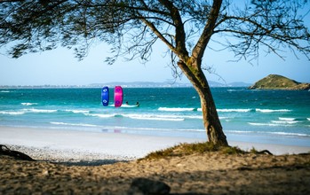 Duotone - Evo SLS - Kites 2026