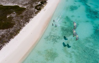 Duotone - Rebel D/LAB - Kites 2026