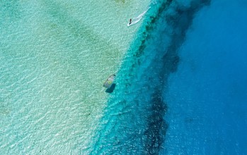 Duotone - Rebel D/LAB - Kites 2026