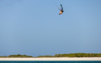 Duotone - Rebel D/LAB - Kites 2026