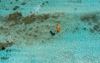 Duotone - Rebel SLS - Kites 2026