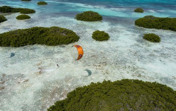 Duotone - Rebel SLS - Kites 2026