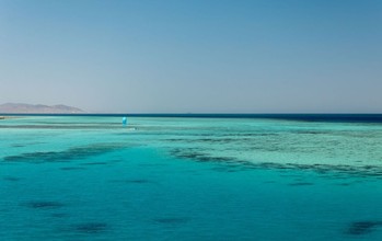 Duotone - Juice D/LAB - Kites 2026