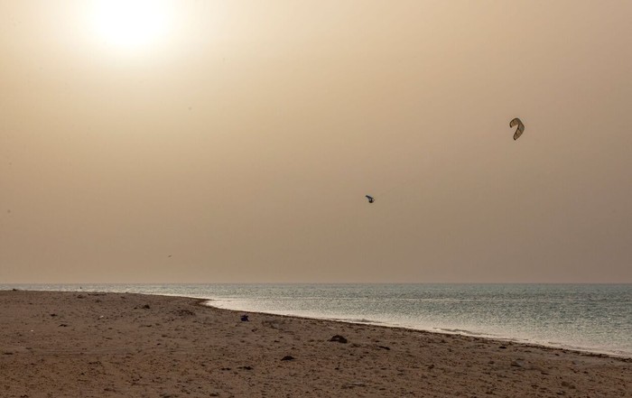 Duotone Rebel SLS Concept Blue - Kites 2026