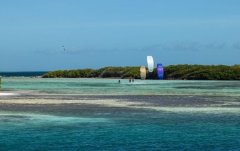 Duotone Rebel SLS Concept Blue - Kites 2026