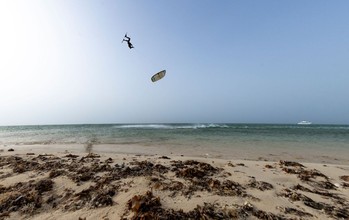 Duotone Rebel SLS Concept Blue - Kites 2026