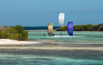 Duotone Rebel SLS - Kites 2026