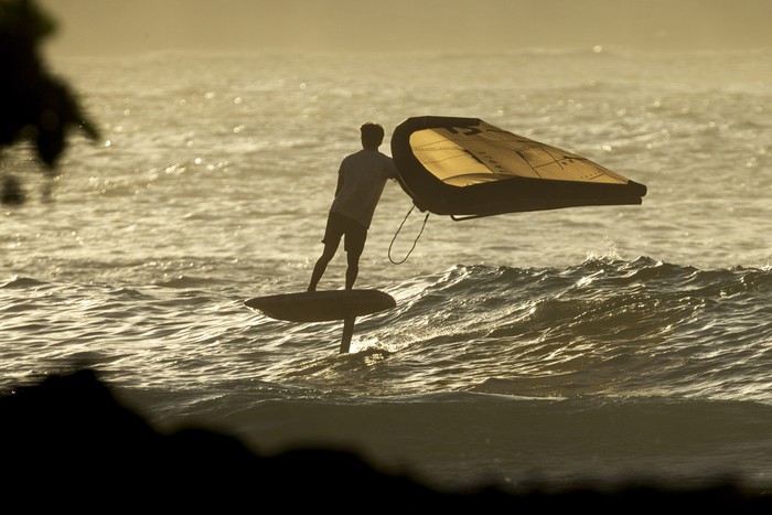 Duotone - Float SLS - Wings 2026