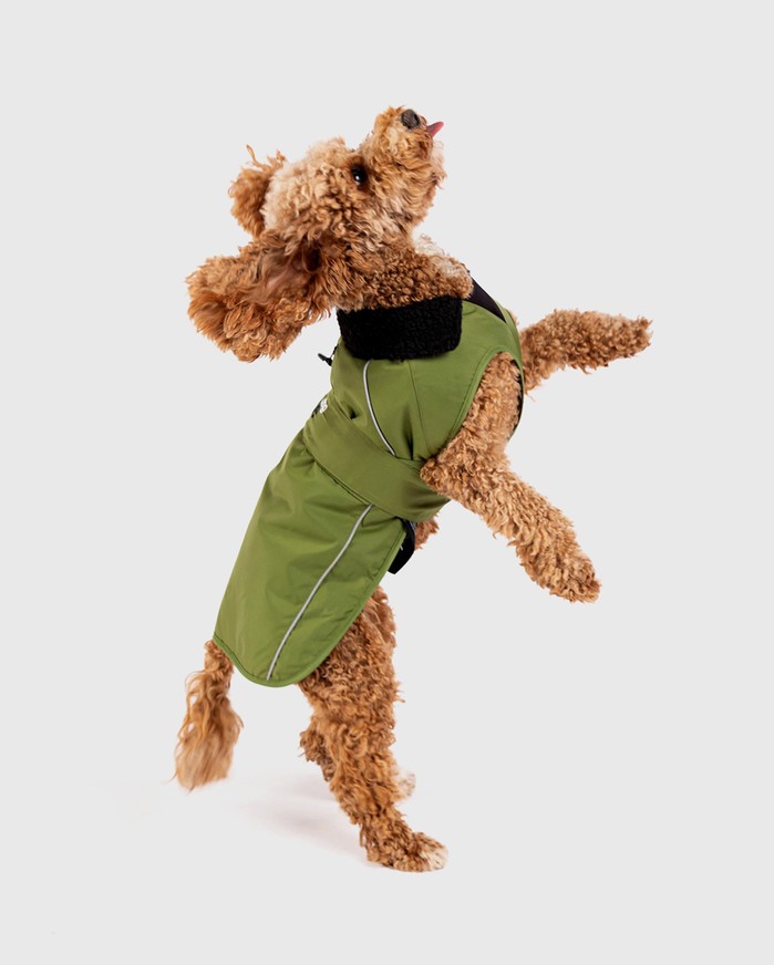 DRYROBE Dog Coat Hundemantel