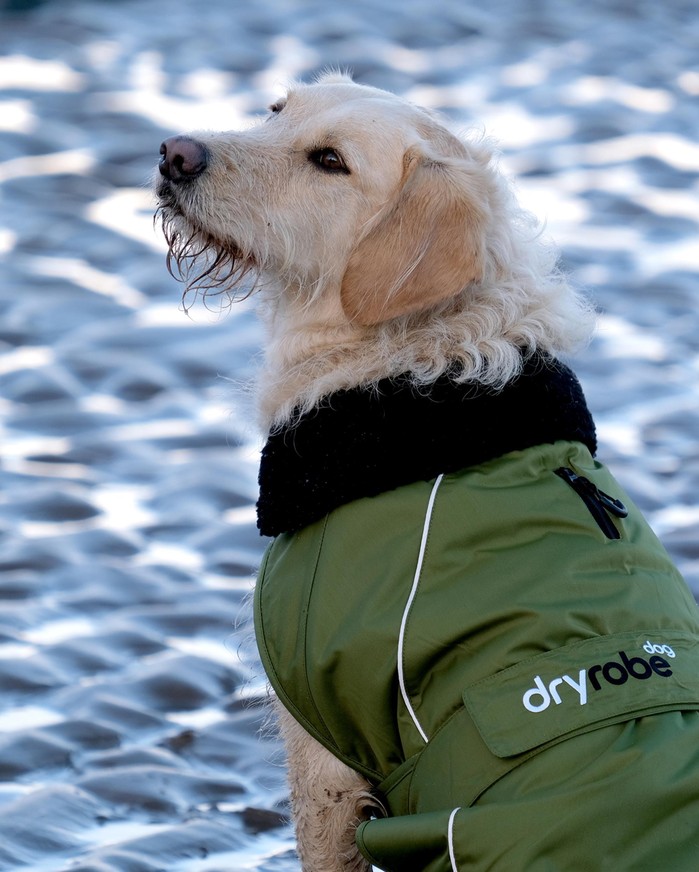 DRYROBE Dog Coat Hundemantel
