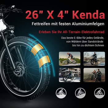 Himiway E-bike Zebra D5 Step Thru Premium All Terrain Pedelec Fatbike inklusive Akku