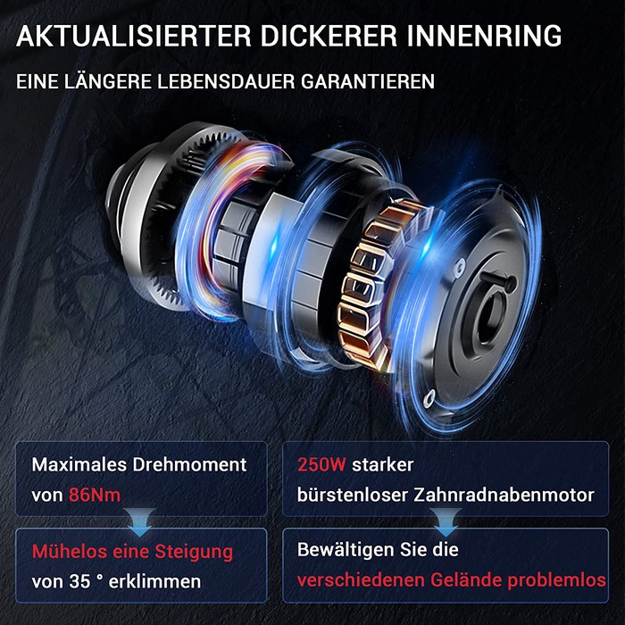 Himiway E-Bike Zebra D5 Upgrade Premium All Terrain Fatbike inklusive Akku