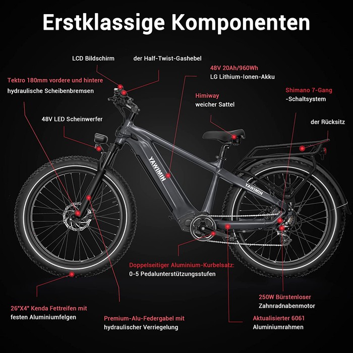 Himiway E-Bike Zebra D5 Upgrade Premium All Terrain Fatbike inklusive Akku