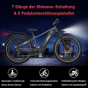 Himiway E-Bike Zebra D5 Premium All Terrain Fatbike inklusive Akku