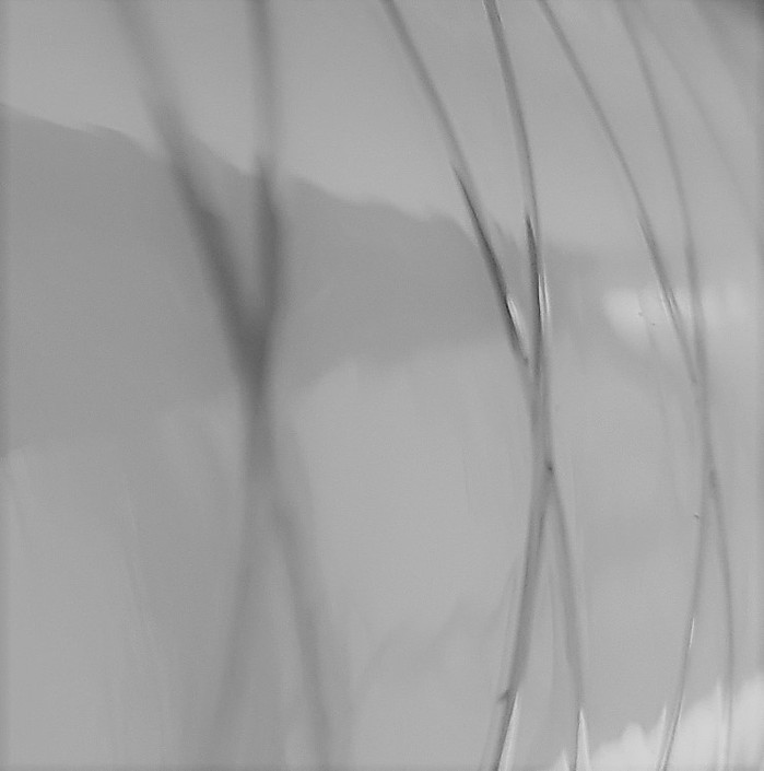 SEVERNE SV23 T825 4mil x-plyCLEAR/WHITE .