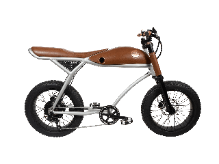 RAYVOLT BIKES Ringo Smart Hub e-bike silber 2024