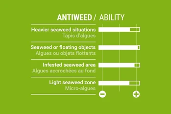 Select Windsurf Finne Focus Weed Seegras 2024