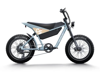 Himiway Premium Moped Style E-Bike C5 inklusive Akku Himiway Premium Moped Style E-Bike C5 inklusive Akku