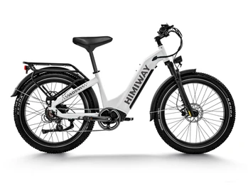 Himiway E-bike Zebra D5 Upgrade Step Thru Premium All Terrain Pedelec Fatbike inklusive Akku