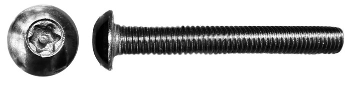 Starboard Windsurf SCREW M8x60 TORX T30 .