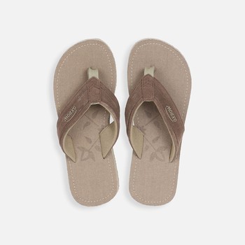 Oxbow R1VALLY-TO