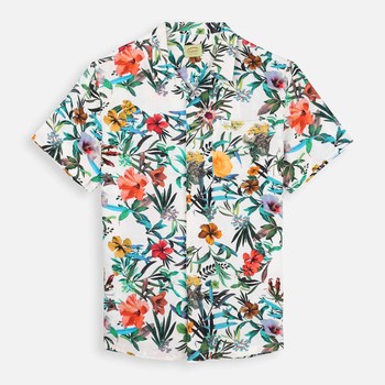 Oxbow  R1BLOOM-SSS