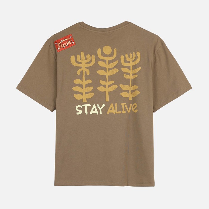 Oxbow Crew neck short sleeves straight cut organic cotton tee-shirt. Q2TOPALE