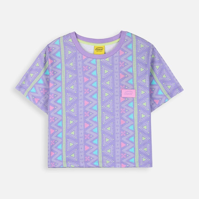 Oxbow  R1GEOSURF-CPT