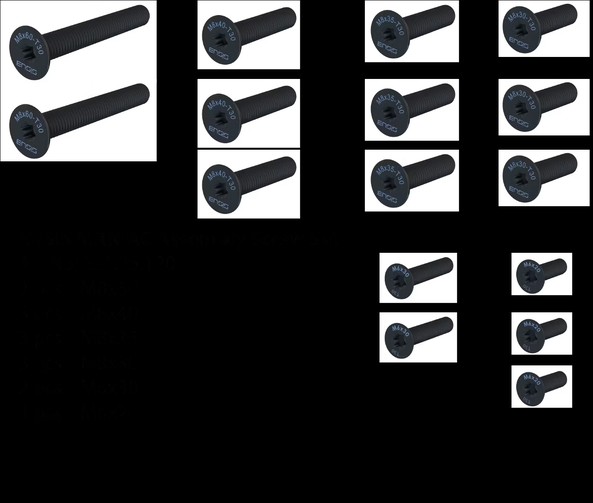 ENSIS MANIAC Assembly Screw Set